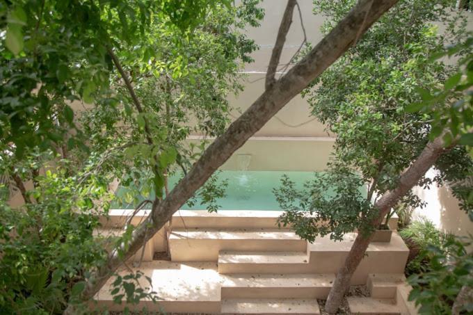Casa Arrayan Jungle Appartamento *